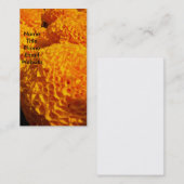 Visite Carte orange de profil de souffle (Devant / Derrière)