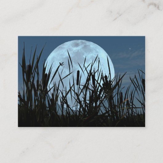 Visite Carte photo entre de lune et de marais ATC (Devant)