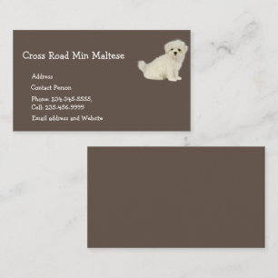 Visite Chien maltais Animaux de compagnie Logo Carte de v