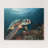 Visite De La Barrière De Corail - Puzzle Tortue De (Horizontal)
