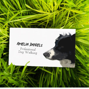 Visite Frontière Collie Chien Marcher / Groomer Carte de 