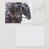 Visite Grande carte de profil de chevaux (Devant / Derrière)