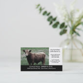 Visite Grande vache Brown - carte de ferme ou (Debout devant)