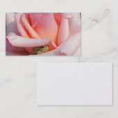 Visite Grenouille d'arbre minuscule dans le carte de (Devant / Derrière)