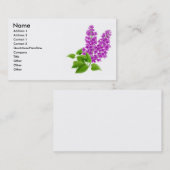 Visite Le lilas fleurit la carte de profil (Devant / Derrière)