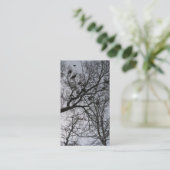 Visite Le petit carte photo de corneilles (Debout devant)