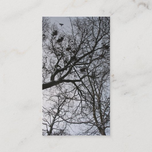 Visite Le petit carte photo de corneilles (Devant)