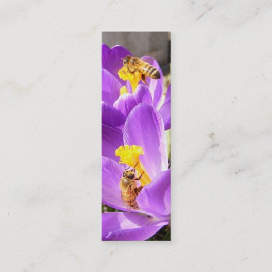 Visite Mini Abeilles sur la carte de profil de ~ de crocus (Devant)