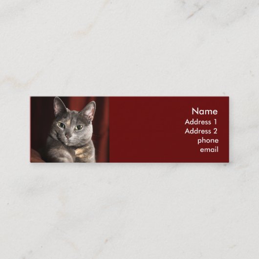 Visite Mini Carte de chat (Devant)