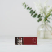 Visite Mini Carte de chat (Debout devant)