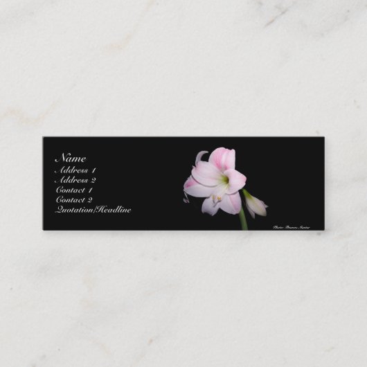 Visite Mini Carte de lis rose et blanc (Devant)