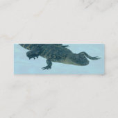 Visite Mini Carte de profil Alligator (Dos)
