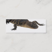 Visite Mini Carte de profil Alligator (Dos)