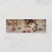 Visite Mini carte de profil chien chiot (Dos)