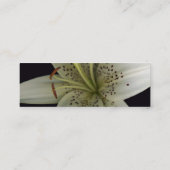 Visite Mini Carte de profil d'astronome (Dos)