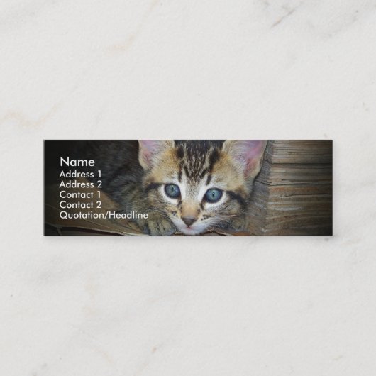 Visite Mini Carte de profil de chaton (Devant)