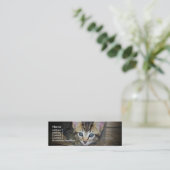 Visite Mini Carte de profil de chaton (Debout devant)
