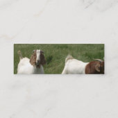 Visite Mini Carte de profil de chèvres (Dos)