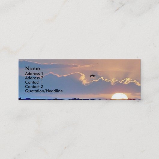 Visite Mini Carte de profil de coucher du soleil de mouette (Devant)