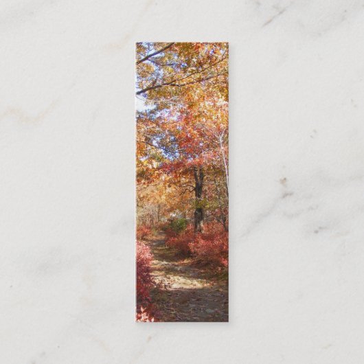 Visite Mini Carte de profil de ~ du chemin 27 d'automne (Devant)