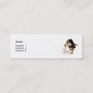 Visite Mini Carte de profil Husky Puppy