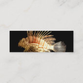 Visite Mini Carte de profil mince Lionfish (Dos)