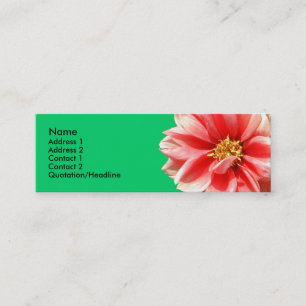 Visite Mini Carte de profil Pink Dahlia