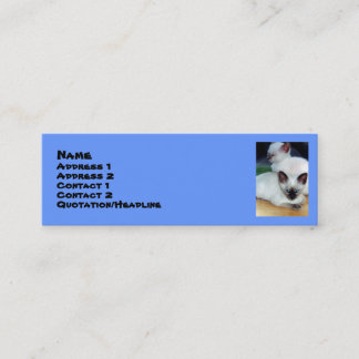 Visite Mini Carte de profil Siamese Kittens