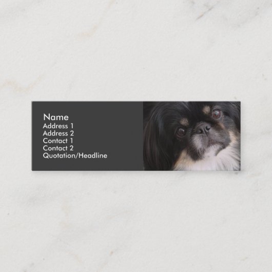 Visite Mini Modèle de carte de profil - chien de Pekingnese (Devant)