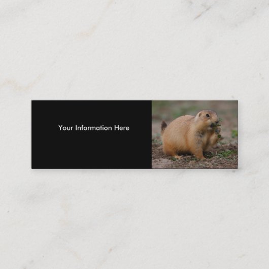 Visite Mini profil ou carte de visite, chien de prairie (Devant)