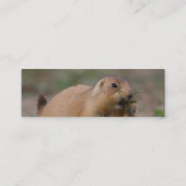 Visite Mini profil ou carte de visite, chien de prairie (Dos)
