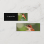 Visite Mini profil ou carte de visite, colibri (Devant / Derrière)