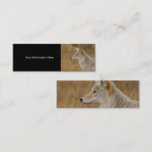 Visite Mini profil ou carte de visite, coyote (Devant / Derrière)