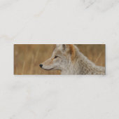 Visite Mini profil ou carte de visite, coyote (Dos)