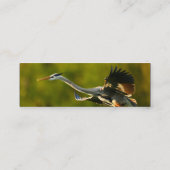 Visite Mini profil ou carte de visite, héron (Dos)