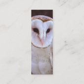Visite Mini profil ou carte de visite, hibou (Dos)