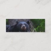 Visite Mini profil ou carte de visite, ours noir (Dos)