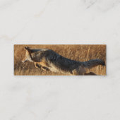 Visite Mini profil ou carte de visite, sauter de coyote (Dos)