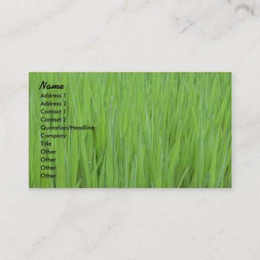 Visite Modèle de carte de profil - texture d'herbe verte (Devant)