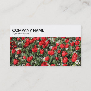 Visite Panneau supérieur - Lit de tulipes 02 Carte de vis
