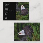 Visite profil ou carte de visite, aigle (Devant / Derrière)
