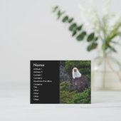 Visite profil ou carte de visite, aigle (Debout devant)