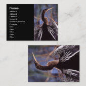 Visite profil ou carte de visite, anhinga (Devant / Derrière)