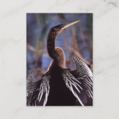 Visite profil ou carte de visite, anhinga (Dos)