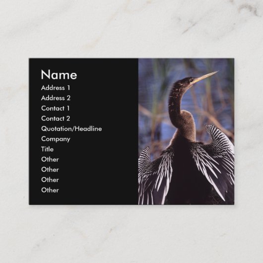 Visite profil ou carte de visite, anhinga (Devant)