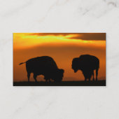 Visite profil ou carte de visite, bison (Dos)