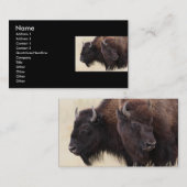 Visite profil ou carte de visite, bison (Devant / Derrière)