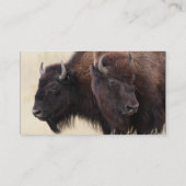 Visite profil ou carte de visite, bison (Dos)