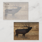 Visite profil ou carte de visite, bugle d'élans (Devant / Derrière)