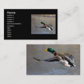 Visite profil ou carte de visite, canard (Devant / Derrière)